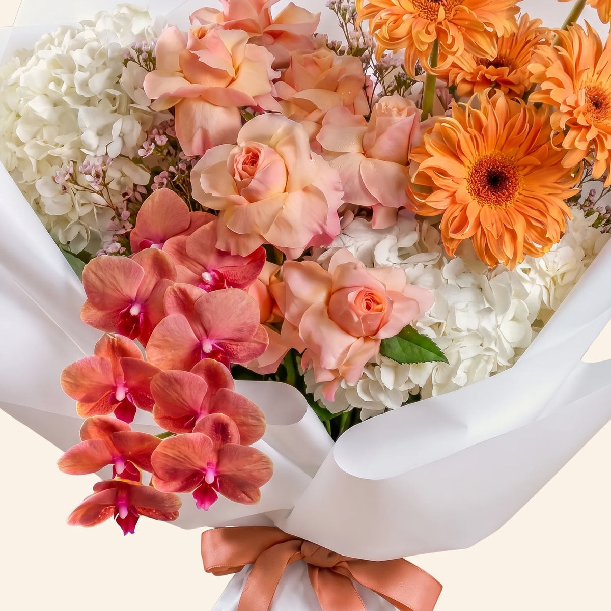 Apricot Veil