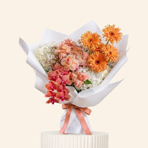 Apricot Veil