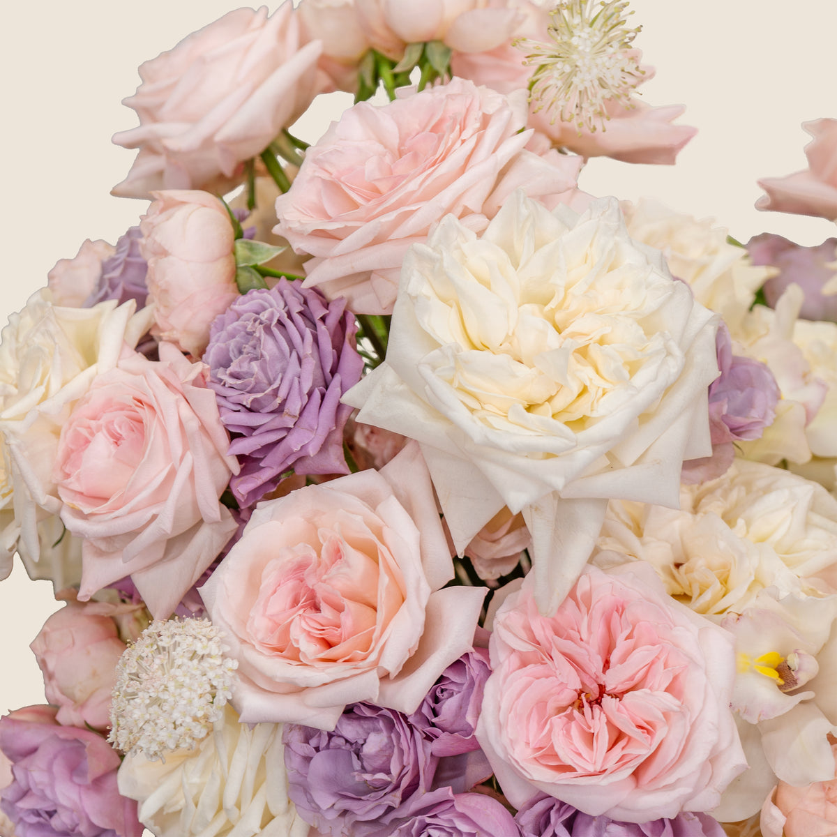 Close-up of a bouquet of pastel-colored flowers including pink, purple, and white.