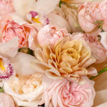 Close-up of a bouquet of pink and beige flowers