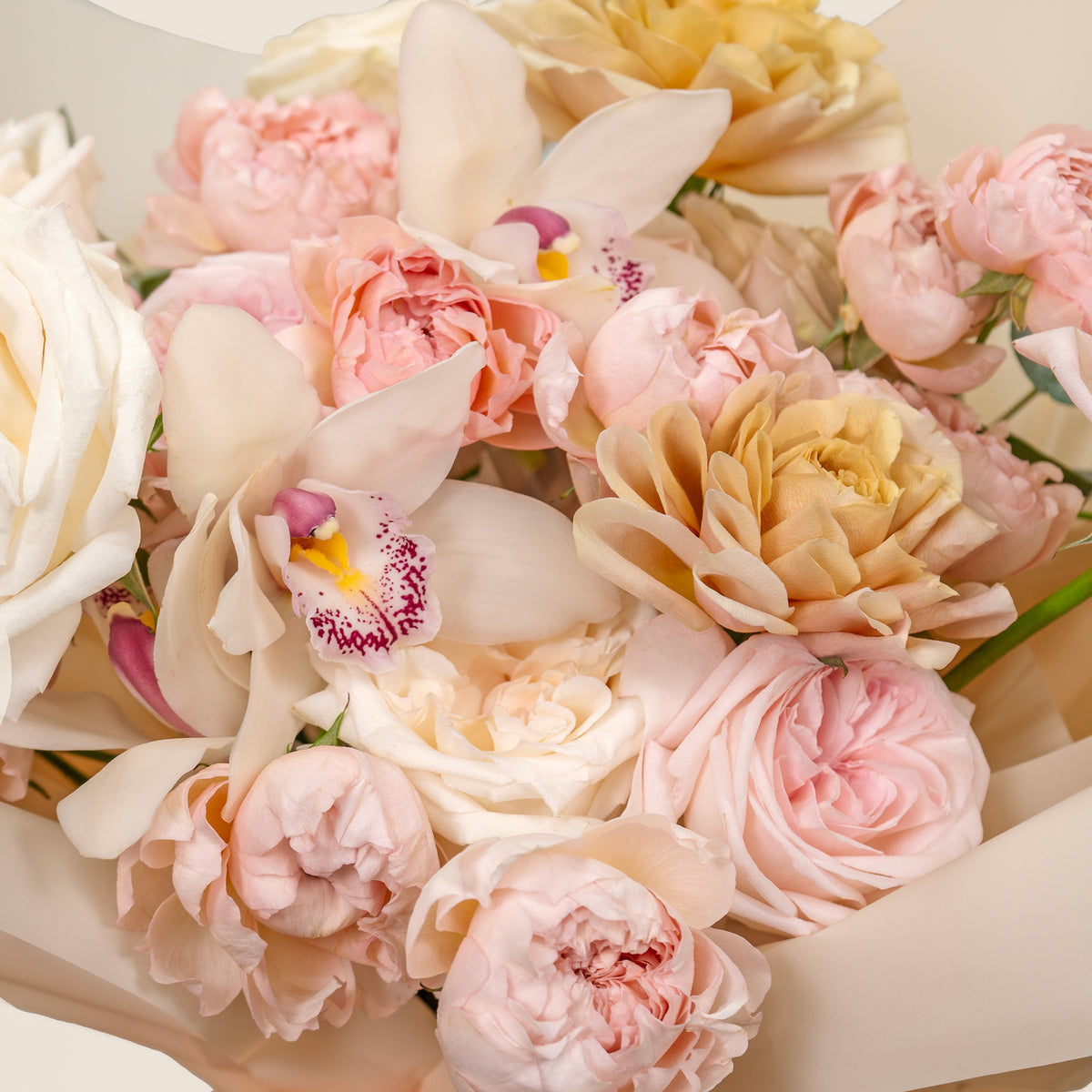 Bouquet of pink and white flowers with orchids on a light background