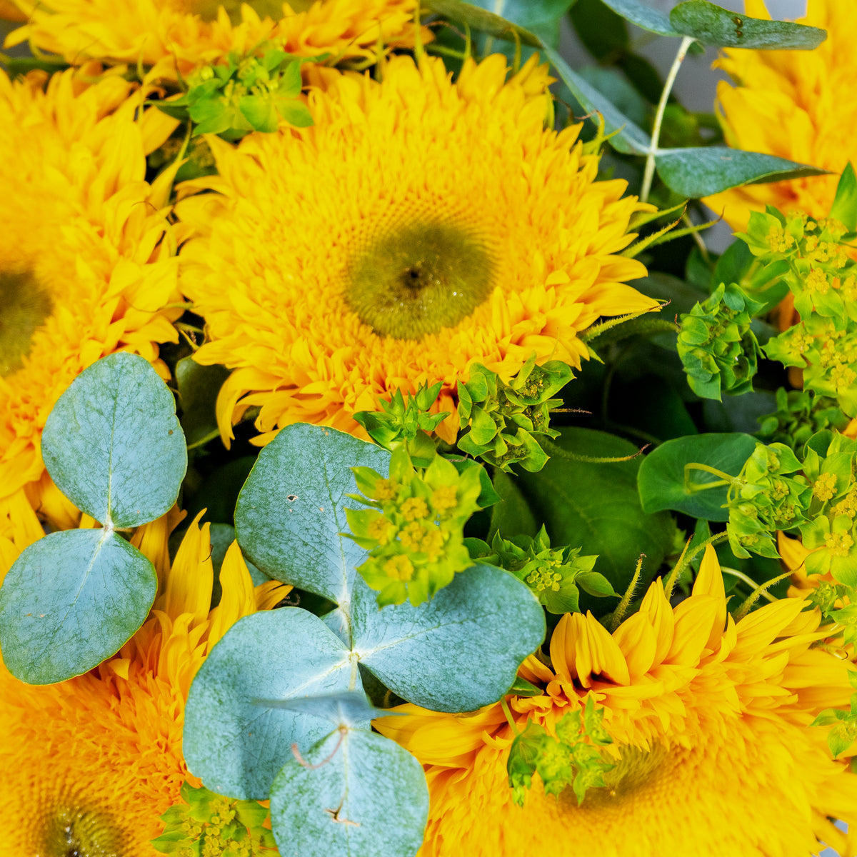 Close-up of a bouquet with yellow sunflowers and green foliage