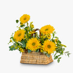 Basket of yellow sunflowers with greenery on a white background