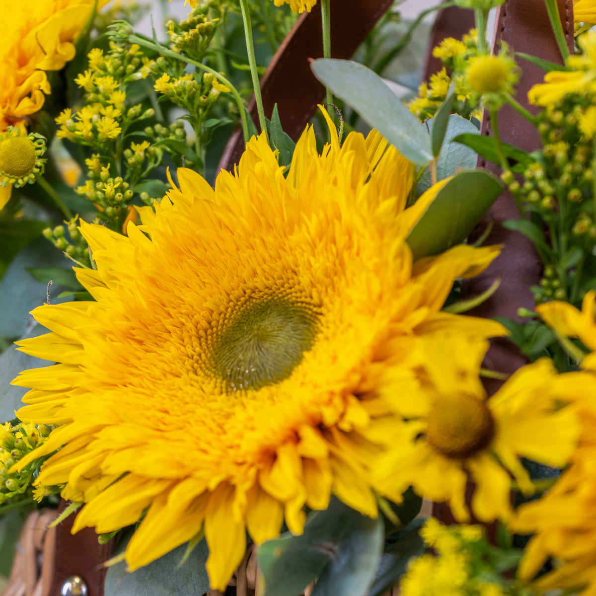 Close-up of a bright yellow sunflower with green leaves in a natural setting.