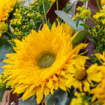 Close-up of a bright yellow sunflower with green leaves in a natural setting.