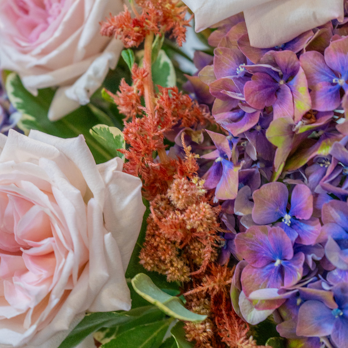 Close-up of a bouquet with pink roses, purple hydrangeas, and orange astilbe.