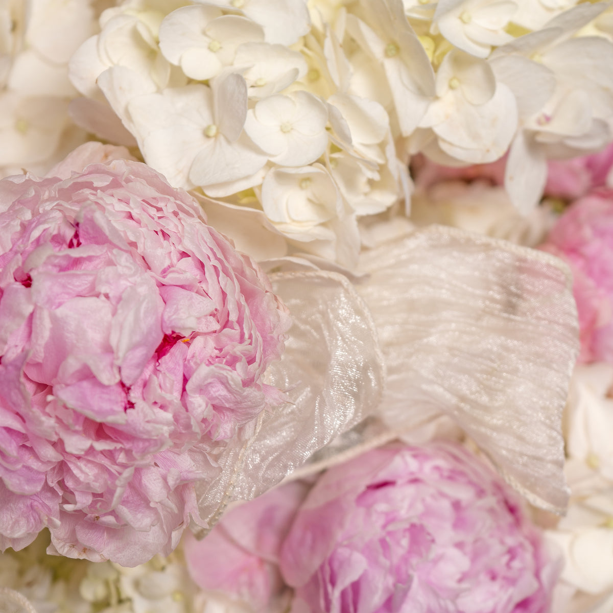 Close-up of pink and white flowers with a focus on texture and color.