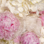 Close-up of pink and white flowers with a focus on texture and color.