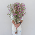 Person holding a bouquet of purple flowers against a plain background