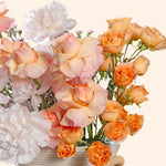 Apricot Whisper
