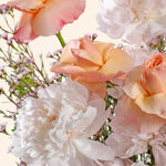 Apricot Whisper