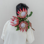 Person holding a bouquet of protea flowers against a plain background