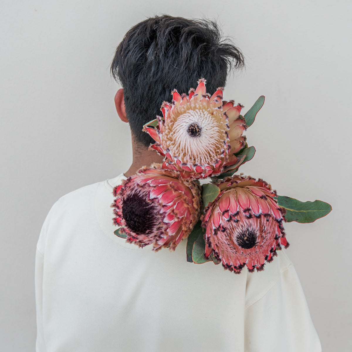 Person wearing large pink flowers on their back against a plain background