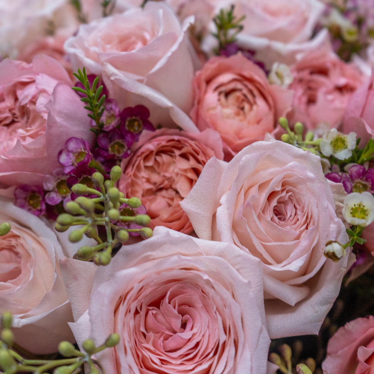 Close-up of a bouquet of pink roses with greenery