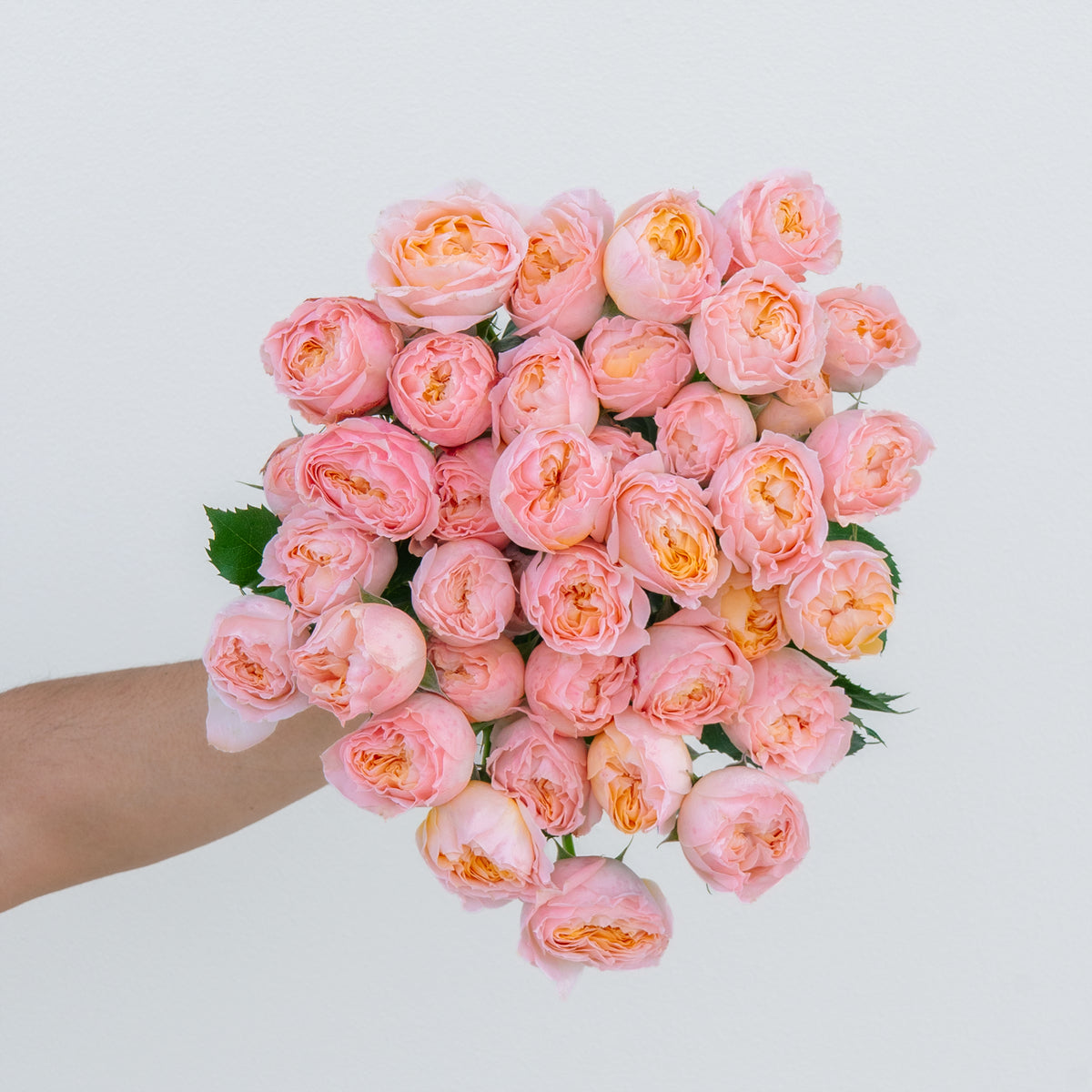 Bouquet of pink roses held by a person on a light background