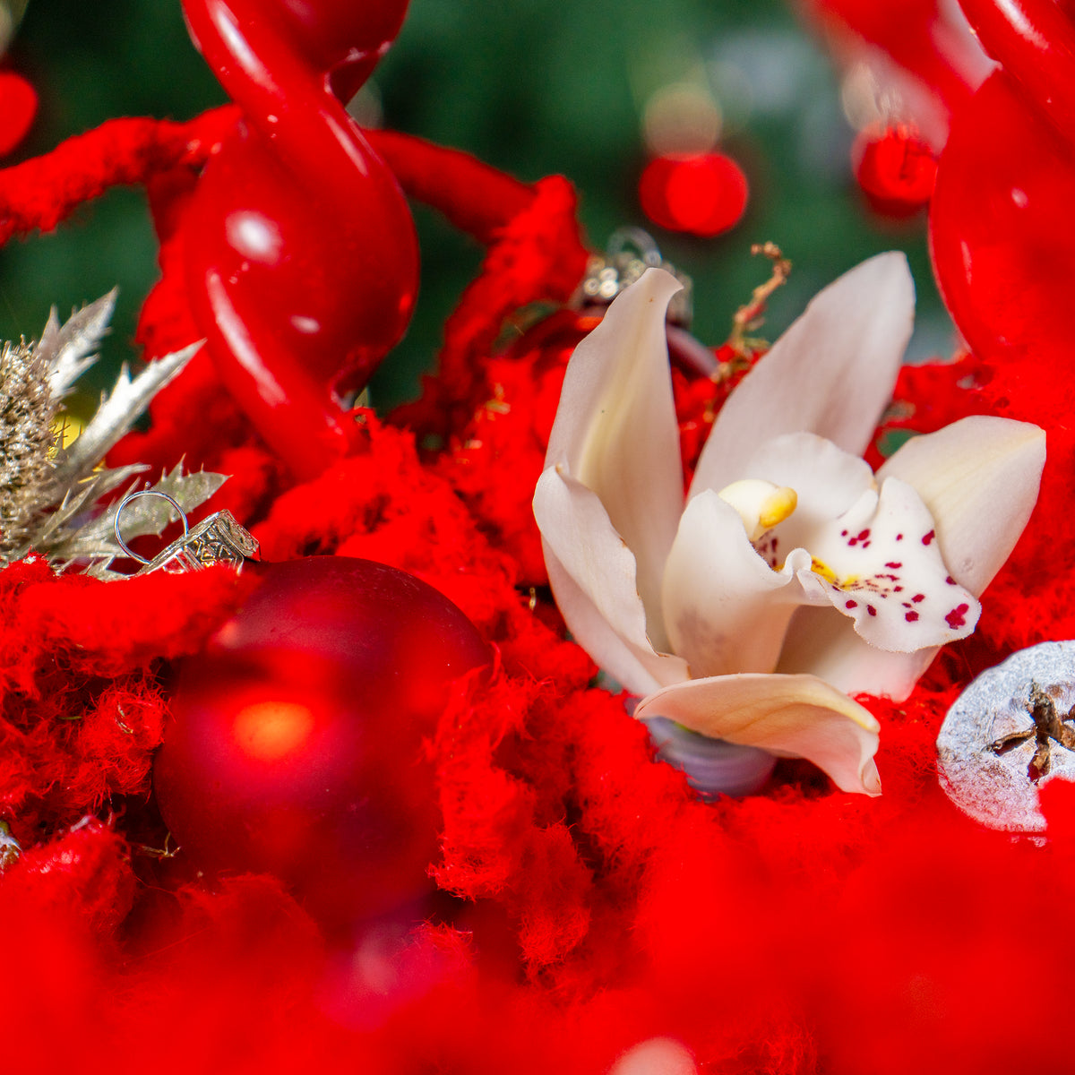 Close-up of a white flower with red and gold decorative elements on a blurred background