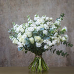 White Whispers