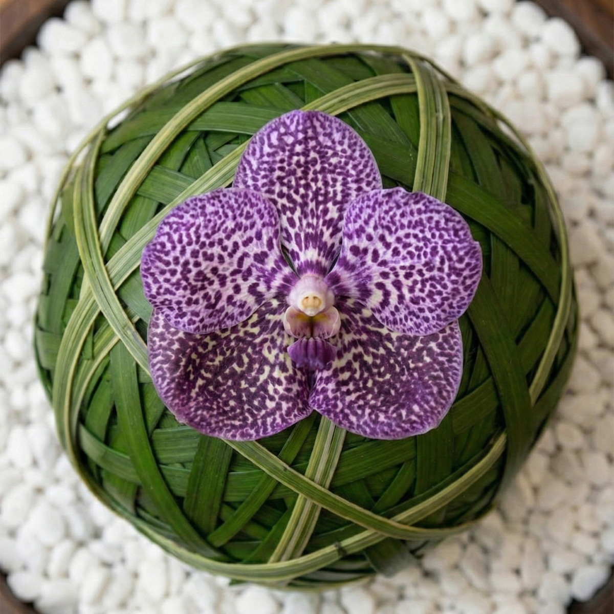 Purple orchid flower on a woven green sphere with white pebbles below