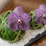 Two purple orchids with white spots on a decorative stone surface.