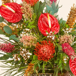 Floratopia