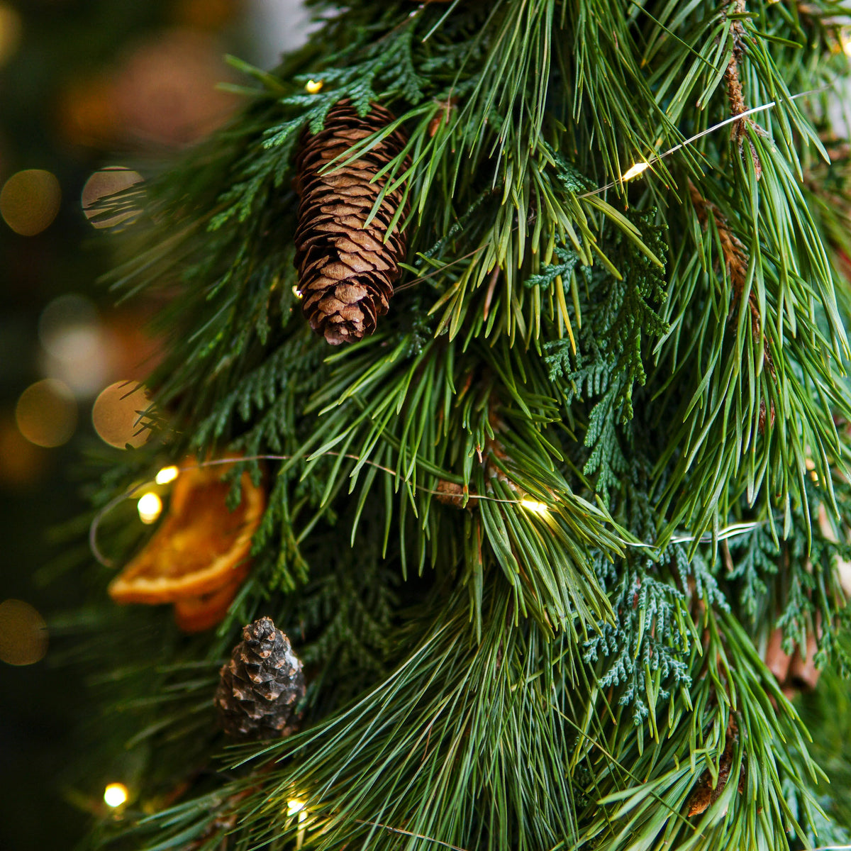 Close-up of a Christmas tree with pine cones and lights, blurred lights in the background