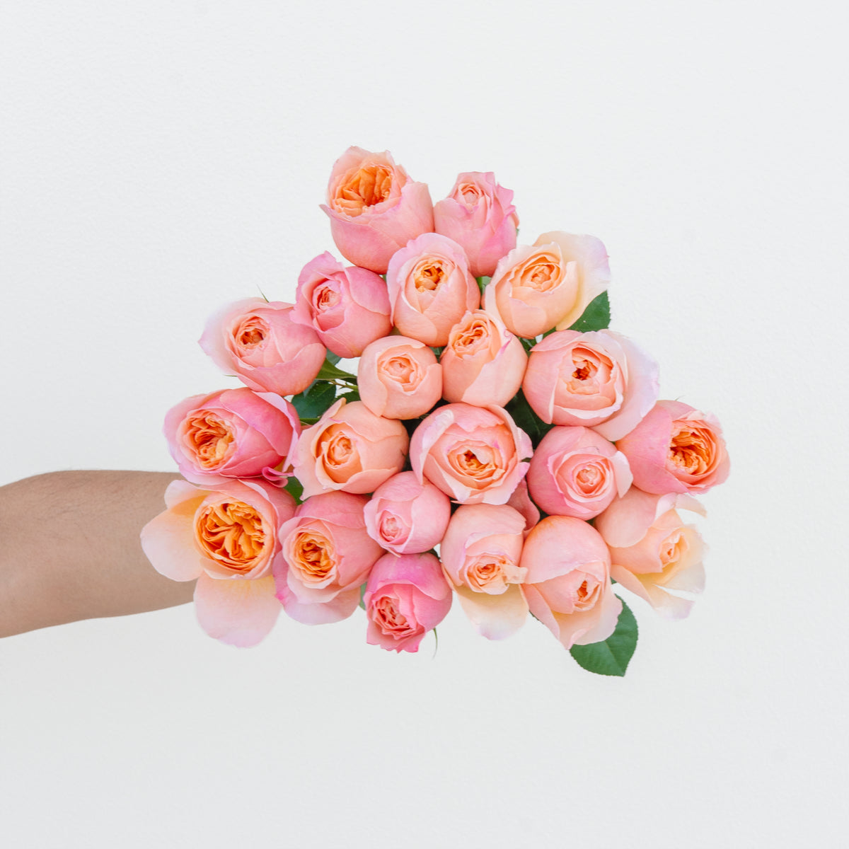 Bouquet of pink and peach roses held by a person on a light background