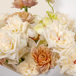 Close-up of a bouquet of white and beige flowers on a light background