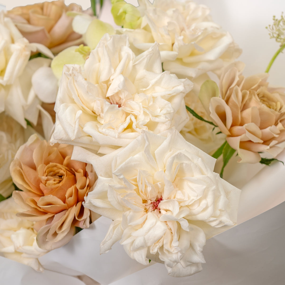Close-up of a bouquet of white and beige flowers on a light background