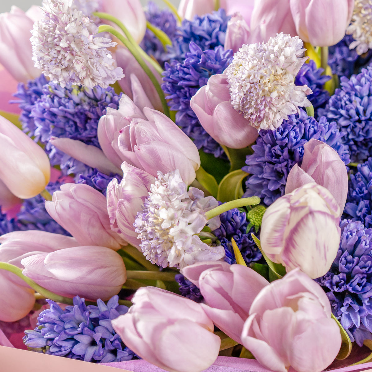 Bouquet of pink tulips and purple flowers