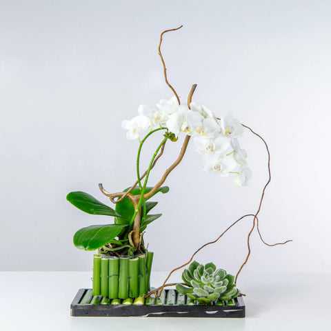 Tranquil luxury flower arrangement with fresh flowers for gifting in Dubai UAE
