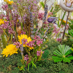 Close-up of a bouquet with yellow and purple flowers on a green background