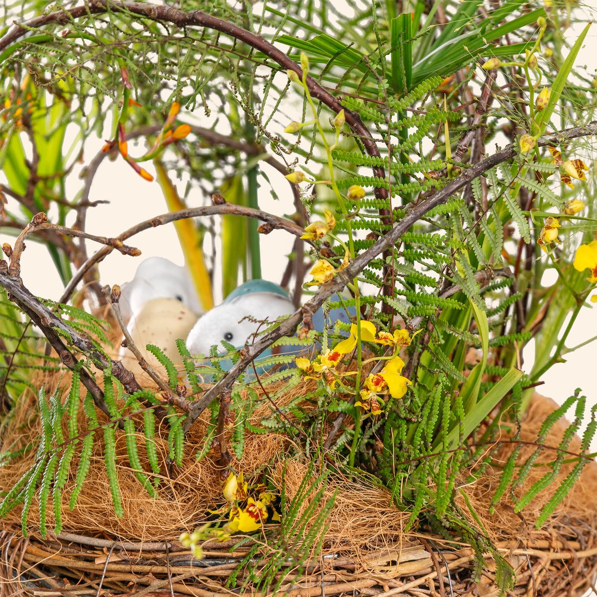 Two parakeets in a nest surrounded by greenery and yellow flowers