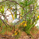 Two parakeets in a nest surrounded by greenery and yellow flowers