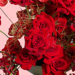 Bouquet of red roses with a pink background