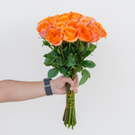 Bouquet of orange roses held by a person against a white background