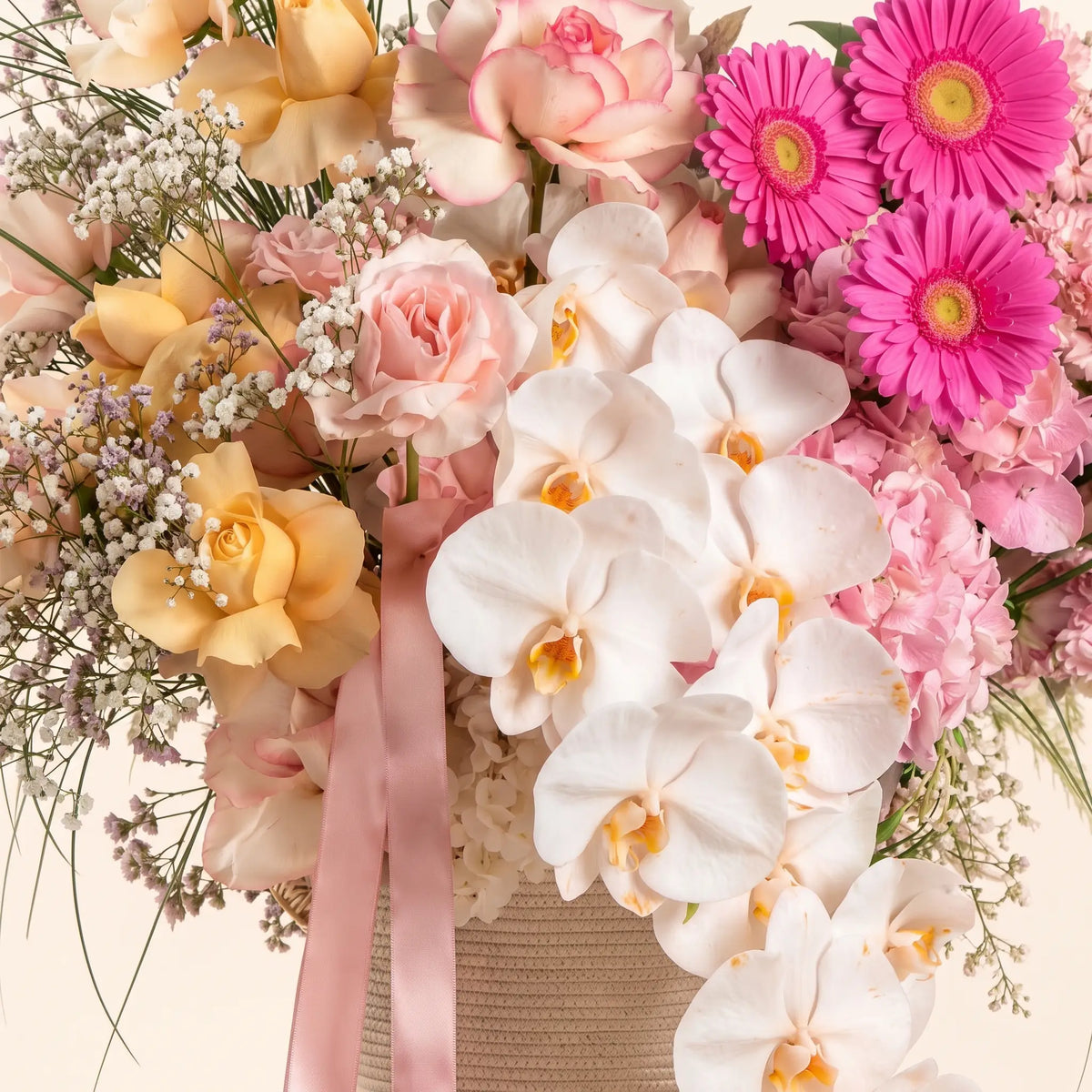 Orchid Halo