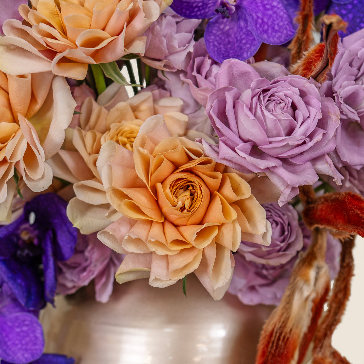Close-up of a bouquet of flowers with orange, purple, and pink colors.