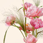 Pink peony flowers with green stems on a light beige background