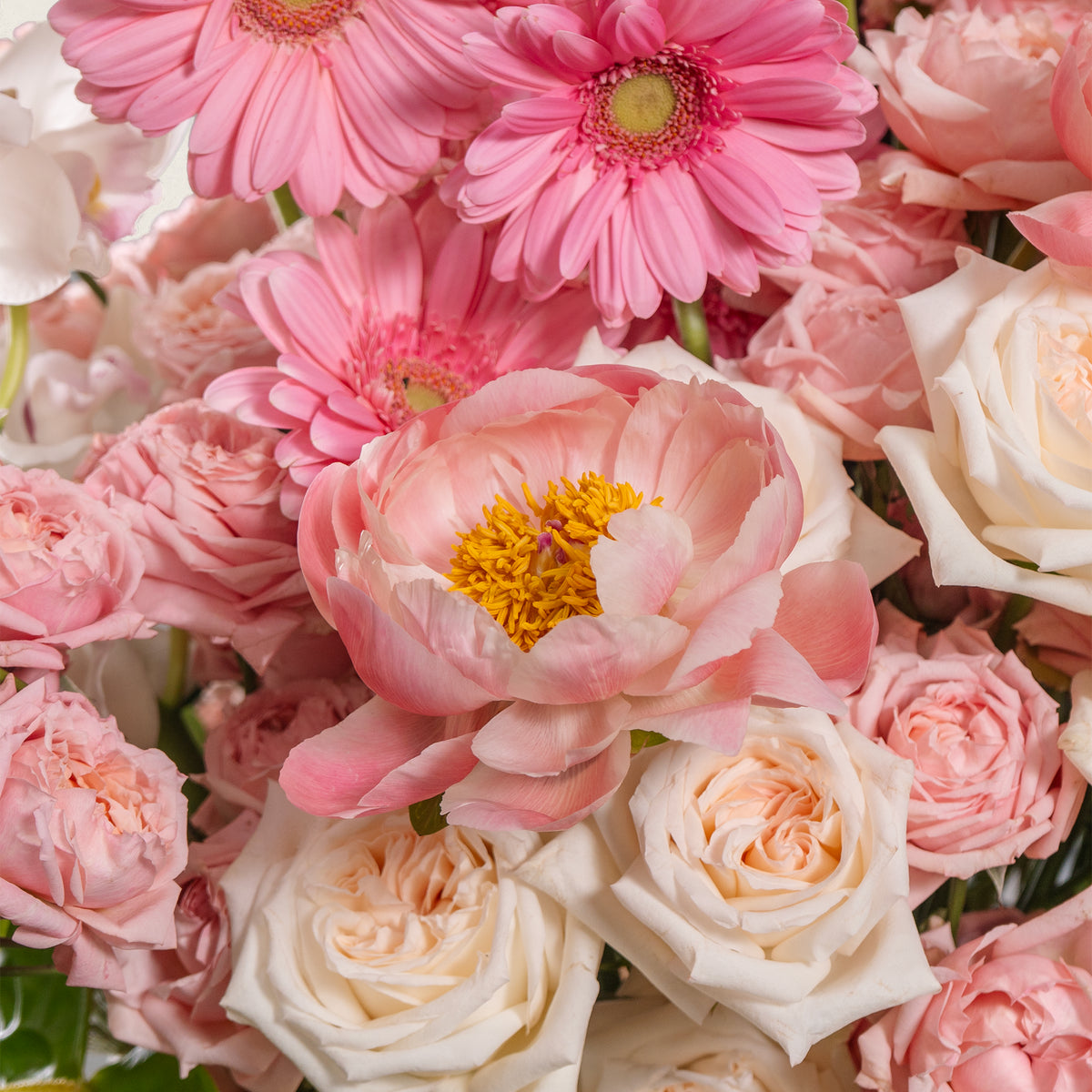 Close-up of a bouquet of pink and white flowers