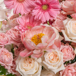 Close-up of a bouquet of pink and white flowers