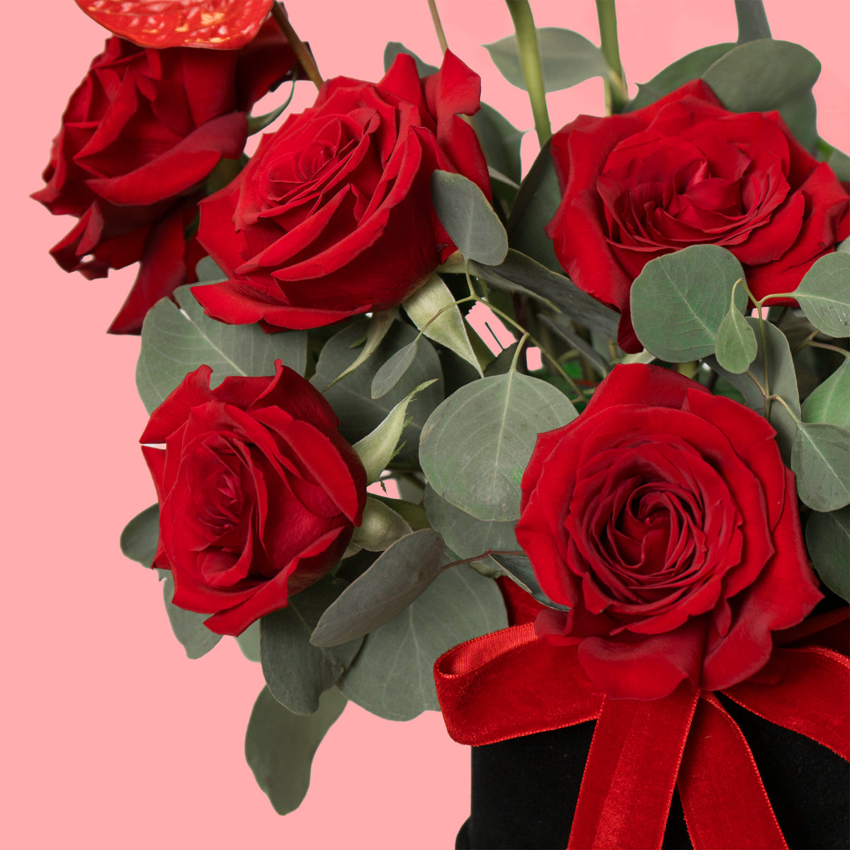 Bouquet of red roses with green leaves on a pink background