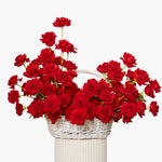 Basket of red roses on a white background