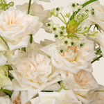Close-up of white and beige roses with greenery on a light background