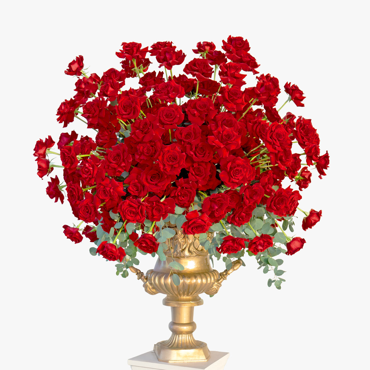 Bouquet of red roses in a gold urn on a white background