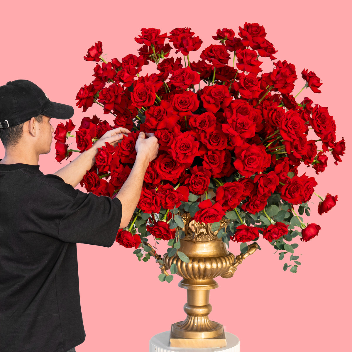 Person arranging red roses in a large gold vase against a pink background