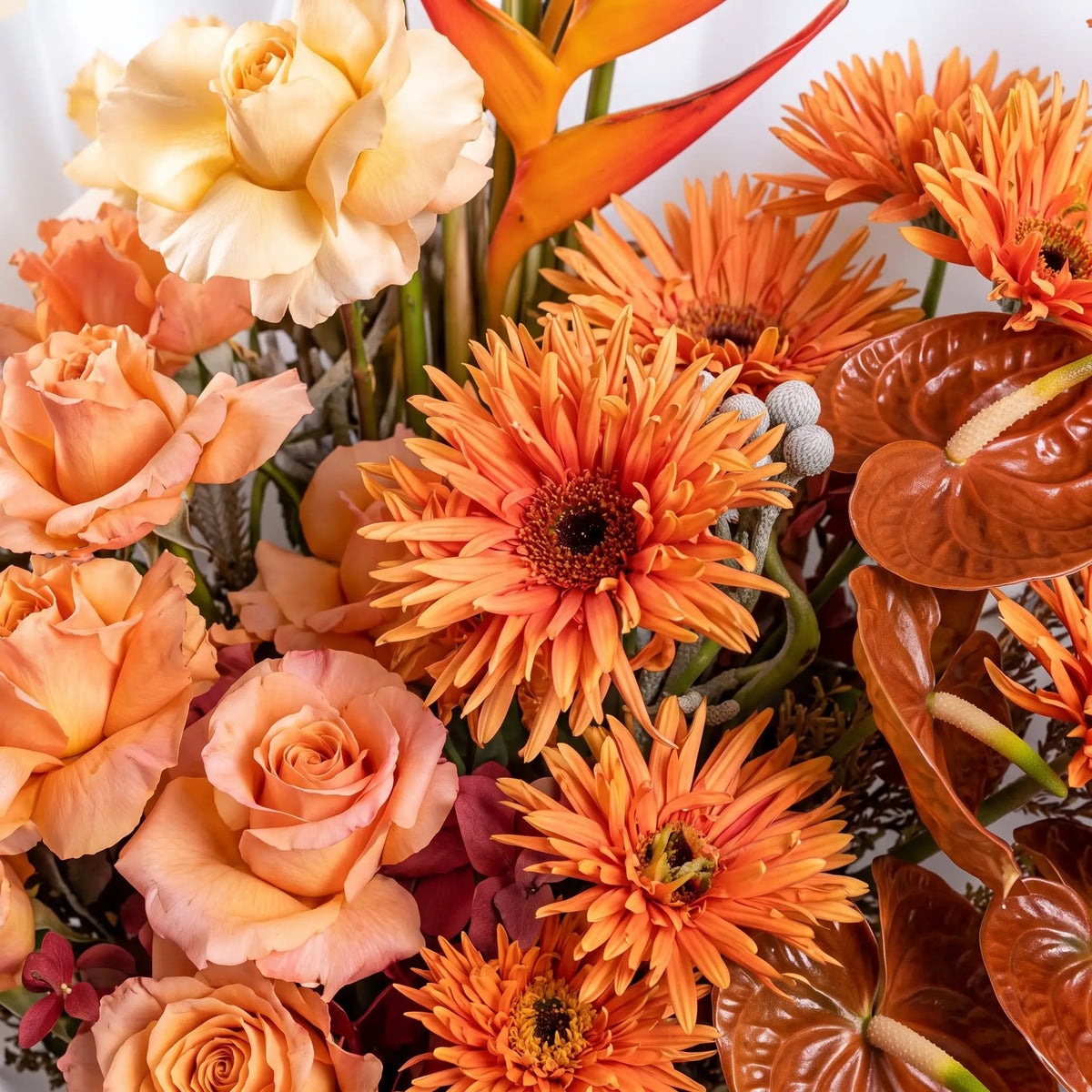 A close-up arrangement of warm-toned flowers including peach and cream roses, orange gerbera daisies, an orange bird of paradise bloom, and dark brown anthuriums against a soft white background.