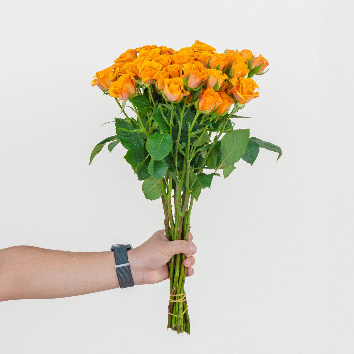 Bouquet of yellow roses held by a person against a light gray background
