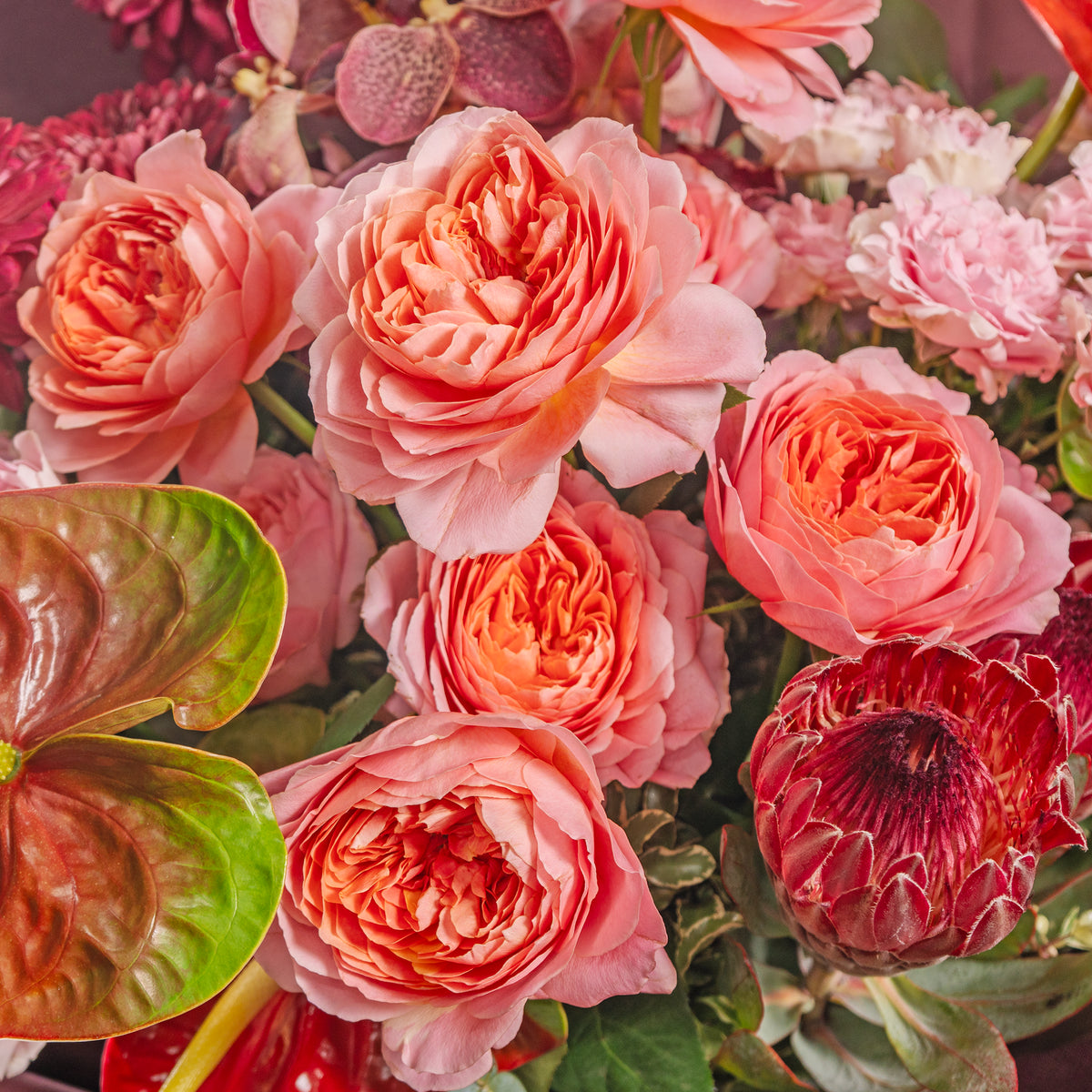 Close-up of a bouquet with pink and red flowers and green leaves.