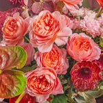 Close-up of a bouquet with pink and red flowers and green leaves.