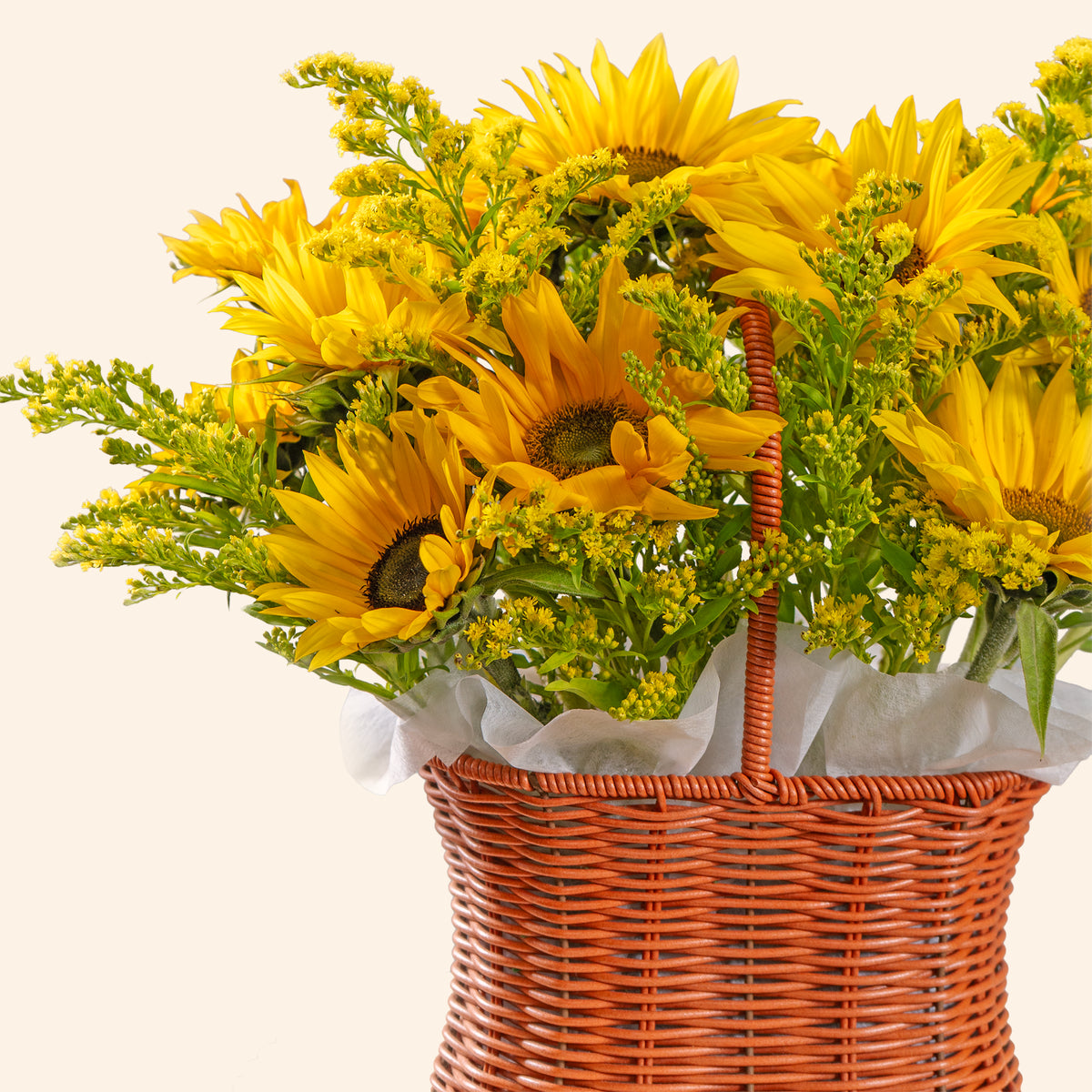 Basket of yellow sunflowers on a white background
